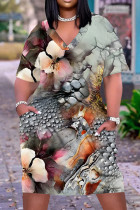 Grey Casual Landscape printing Pocket V Neck Printed Plus Size Dresses