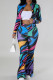 Multicolor Casual Print Patchwork Zipper Zipper Collar Long Sleeve Two Pieces