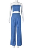 Blue Sexy Casual Solid Color Backless Strapless Sleeveless Two Pieces