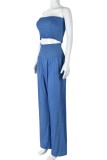 Blue Sexy Casual Solid Color Backless Strapless Sleeveless Two Pieces