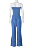 Blue Sexy Casual Solid Color Backless Strapless Sleeveless Two Pieces