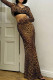 Leopard Print Sexy Leopard Print Patchwork V Neck Long Sleeve Two Pieces