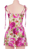 Pink Sexy Print Hollow Out Patchwork Backless Strap Design Halter A Line Dresses
