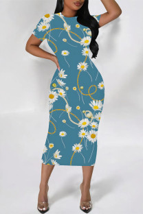 Baby Blue Elegant Floral Print Chain print O Neck Printed Dresses