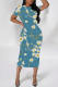 Baby Blue Elegant Floral Print Chain print O Neck Printed Dresses
