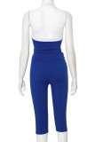 Blue Sexy Patchwork Backless Contrast Halter Sleeveless Two Pieces
