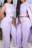 Blue Casual Solid Color Basic O Neck Long Sleeve Two Pieces