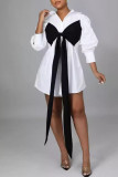 White Street Buckle Patchwork Strap Design Contrast Turndown Collar A Line Dresses