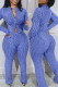 Blue Casual Stripe Patchwork Zipper Zipper Collar Long Sleeve Two Pieces