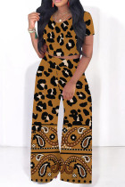 Yellow Brown Casual Leopard Print Polka Dot Contrast O Neck Short Sleeve Two Pieces