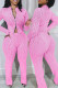 Pink Casual Stripe Patchwork Zipper Zipper Collar Long Sleeve Two Pieces