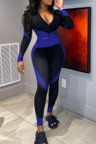 Blue Casual Patchwork Zipper Contrast Zipper Collar Plus Size Two Pieces