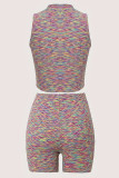 Colour Street Stripe Patchwork Zipper Zipper Collar Sleeveless Two Pieces