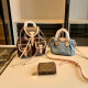 Brown Casual Street Letters Patchwork Chains Zipper Contrast Bags