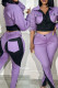 Purple Casual Pocket Buttons Patchwork Zipper Contrast Turndown Collar Long Sleeve Two Pieces