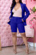 Blue Fashion Casual Solid Cardigan Turndown Collar Long Sleeve Two Pieces