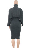 Pink Elegant Solid Color Patchwork Turtleneck Long Sleeve Two Pieces