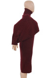 Pink Elegant Solid Color Patchwork Turtleneck Long Sleeve Two Pieces