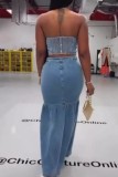 Blue Sexy Casual Solid Color Backless Halter Sleeveless Two Pieces
