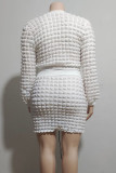 White Street Solid Color Patchwork Zipper Zipper Collar Long Sleeve Two Pieces