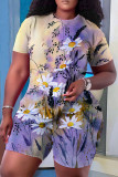 Stripe Casual Floral Print Basic O Neck Short Sleeve Two Pieces