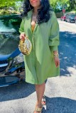 Light Green Casual Solid Color Buttons Turndown Collar Shirt Dresses