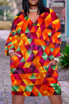 Multicolor Casual Print Pocket Patchwork V Neck Straight Plus Size Dresses