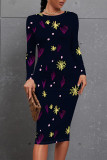 Blue Elegant Plaid Floral Print Contrast O Neck Printed Dresses