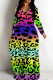 Colour Casual Print Basic V Neck Long Dresses