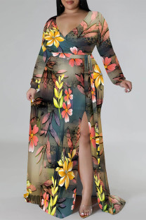 Brownness Elegant Floral Print Lace Up Slit V Neck Printed Plus Size Dresses
