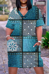 Multicolor Casual Print Basic V Neck Short Sleeve Plus Size Dresses