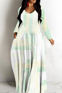 Leopard Print Casual Print Basic V Neck Long Dresses