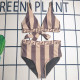 Khaki Sexy Letters Patchwork Swimwears