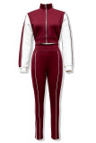 Black Casual Patchwork Zipper Contrast Zipper Collar Long Sleeve Two Pieces