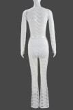 White Sexy Solid Color Patchwork See-Through O Neck Long Sleeve Two Pieces