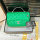 Green Casual Daily Solid Color Metal Accessories Trim Texture Bags