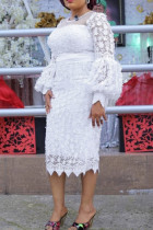 White Elegant Solid Color Patchwork See-Through O Neck Long Dresses