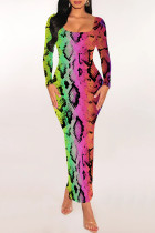 Colour Sexy Snakeskin Print Gradient Contrast U Neck One Step Skirt Dresses