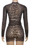 Coffee Sexy Leopard Print Patchwork O Neck Long Sleeve Two Pieces