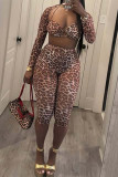 Coffee Casual Leopard Print Hollow Out Patchwork Asymmetrical Collar Long Sleeve Two Pieces