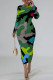 Camouflage Casual Street Flowers Snakeskin Print Gradient Leopard Contrast O Neck Printed Dresses