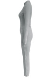 Silver Casual Solid Color Patchwork Zipper Zipper Collar Long Sleeve Two Pieces