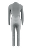 Silver Casual Solid Color Patchwork Zipper Zipper Collar Long Sleeve Two Pieces
