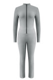 Silver Casual Solid Color Patchwork Zipper Zipper Collar Long Sleeve Two Pieces