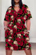 Black Red Casual Vacation Flowers Stripe Landscape printing Eye Pocket Contrast V Neck Printed Plus Size Dresses