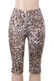 Leopard Print Casual Leopard Print Patchwork Skinny Mid Waist Conventional Full Print Bottoms