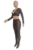 Ink Green Sexy Hot Solid Color See-Through V Neck Long Sleeve Two Pieces