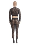 Ink Green Sexy Hot Solid Color See-Through V Neck Long Sleeve Two Pieces