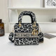Black White Casual Letters Leopard Patchwork Contrast Bags