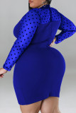 Black Casual Polka Dot Patchwork See-Through Zipper O Neck Wrapped Skirt Plus Size Dresses